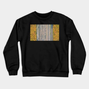 Autumn forest and railway depot top down aerial view Crewneck Sweatshirt